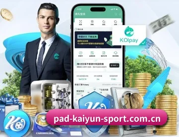 开云中文 APP 深度功能