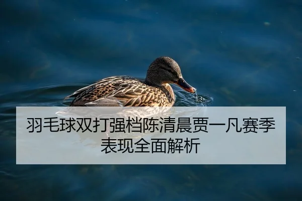 羽毛球双打强档陈清晨贾一凡赛季表现全面解析