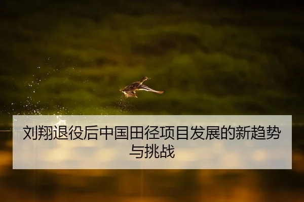liu-xiang-tui-yi-hou-zhong-guo-tian-jing-xiang-mu-fa-zhan-de-xin-qu-shi-yu-tiao-zhan-2-559.jpg